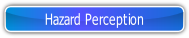 Hazard Perception.